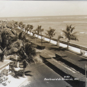 Boulevard de Veracruz cuando aún abundaban las palmeras.